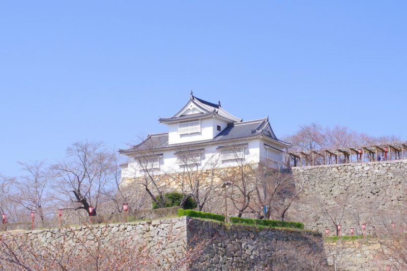 岡山県津山市にある津山城の写真